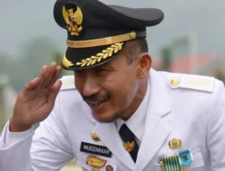 Eks Bupati Luwu Resmi Gabung Tim Ahli Pemprov Sulsel