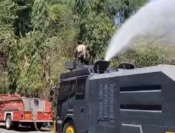 Kebakaran Lahan di Sampoddo Palopo, Api Hanguskan Sekitar 1 Hektare