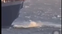 Kapal Tujuan Makassar Terbakar di Perairan Utara Madura, 250 Penumpang Dievakuasi