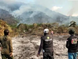 50 Hektare Lahan di Luwu Dilalap Api, Pemadaman Hampir Sebulan Belum Tuntas