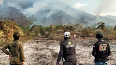50 Hektare Lahan di Luwu Dilalap Api, Pemadaman Hampir Sebulan Belum Tuntas