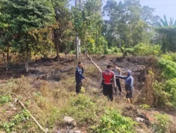 Diduga Api Pembakaran Sampah Merembet, Lahan Warga di Palopo Terbakar
