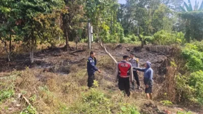 Diduga Api Pembakaran Sampah Merembet, Lahan Warga di Palopo Terbakar